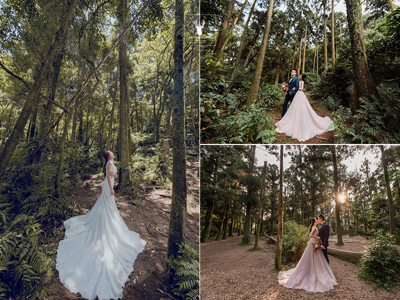 森林婚紗地點：陽明山婚紗拍攝地點推薦-黑森林